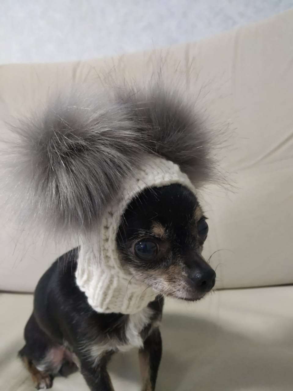 Шапка для собак Капор с закрытыми ушами Puffy Микки