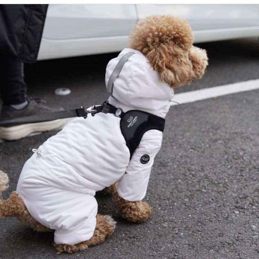 Шлейка для собак PA комфорт