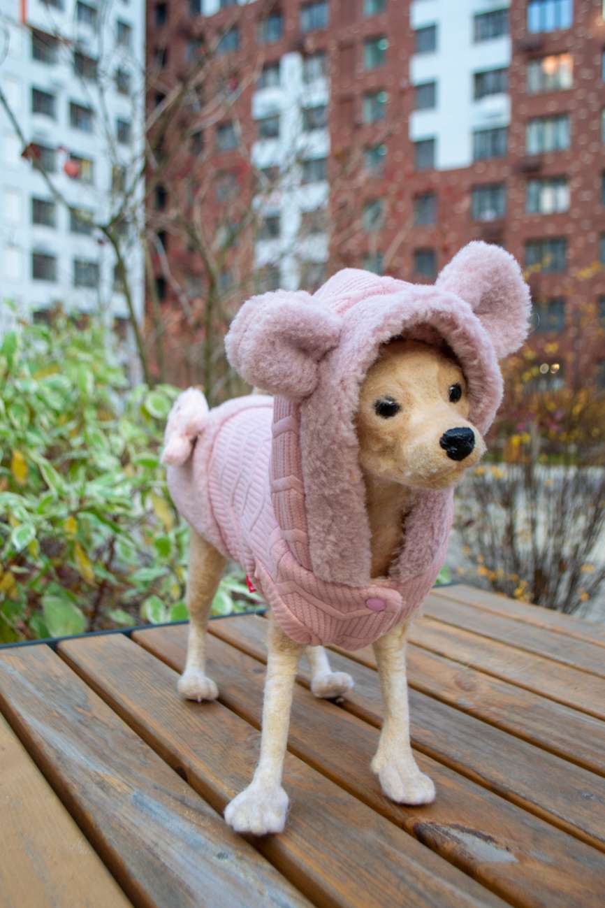 Жилет для собаки трикотажный Pet Лапочка