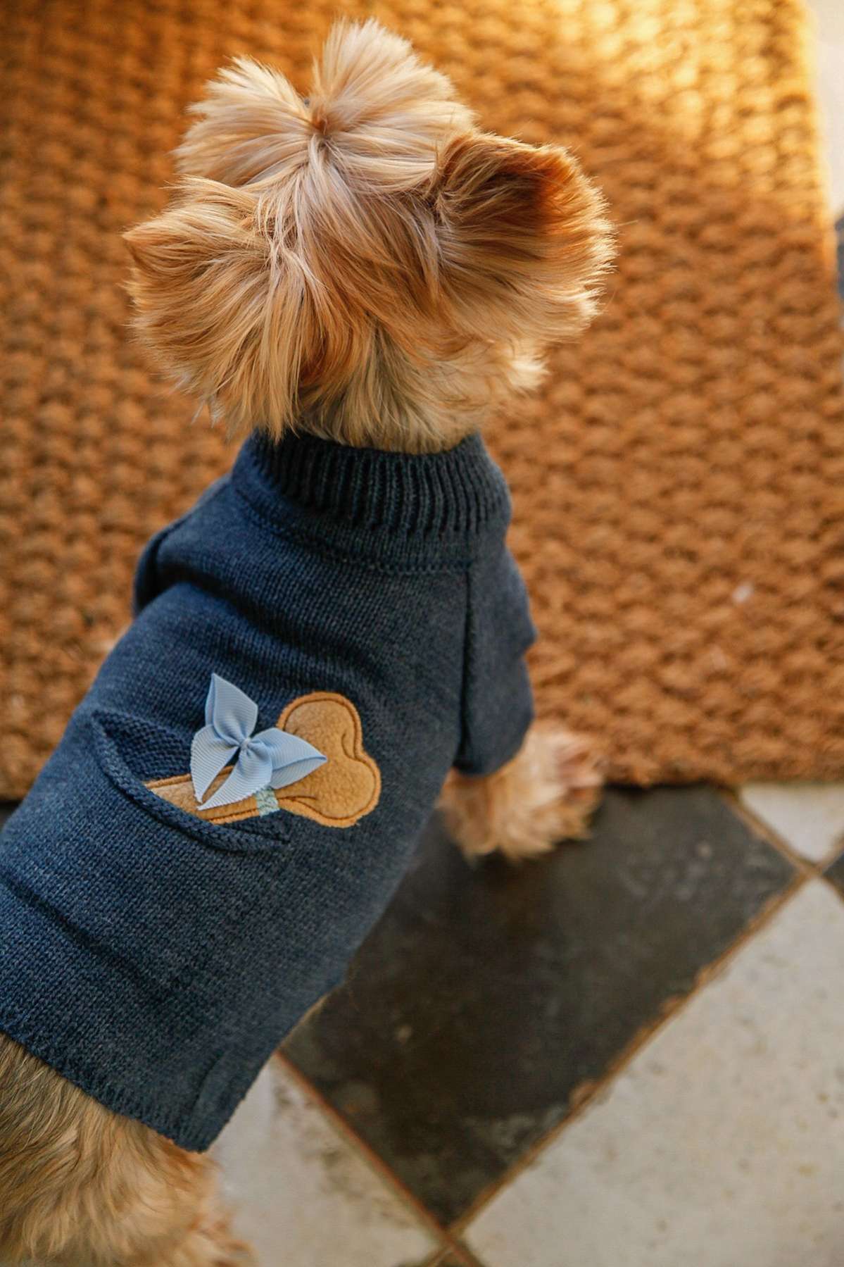 Свитер для собак косточка в кармашке