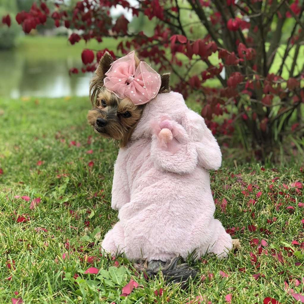 Костюм для собак плюшевый Pet Sweety