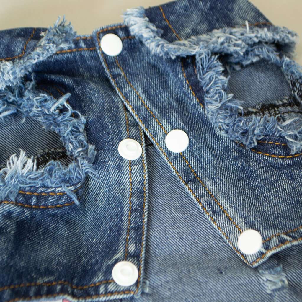 Джинсовка для собак Pet Заряд