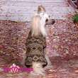 Свитер для собак ForMyDogs Cover Коричневый
