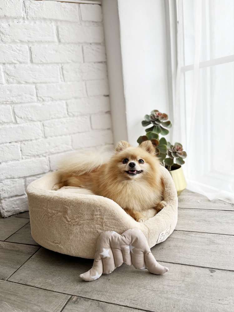 [Лежак] Лежанка для собак Puffy Нуга