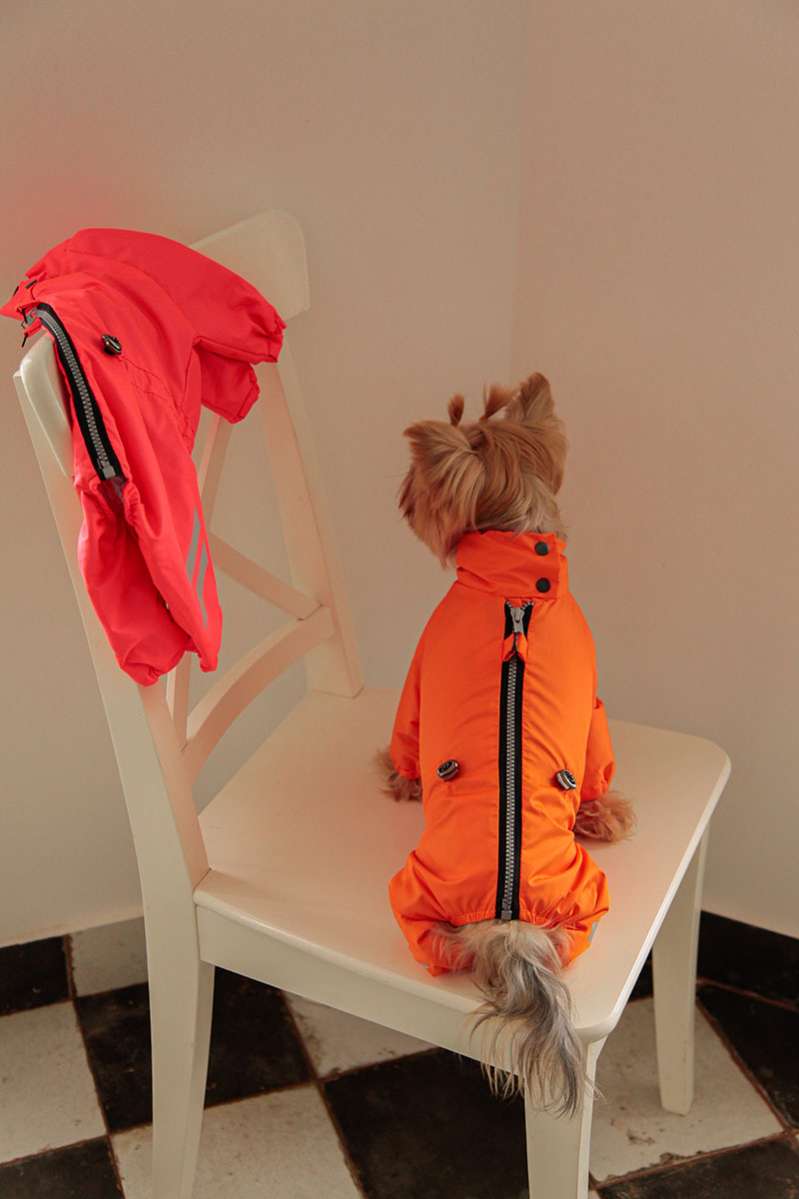 Дождевик для собаки Puffy Rich