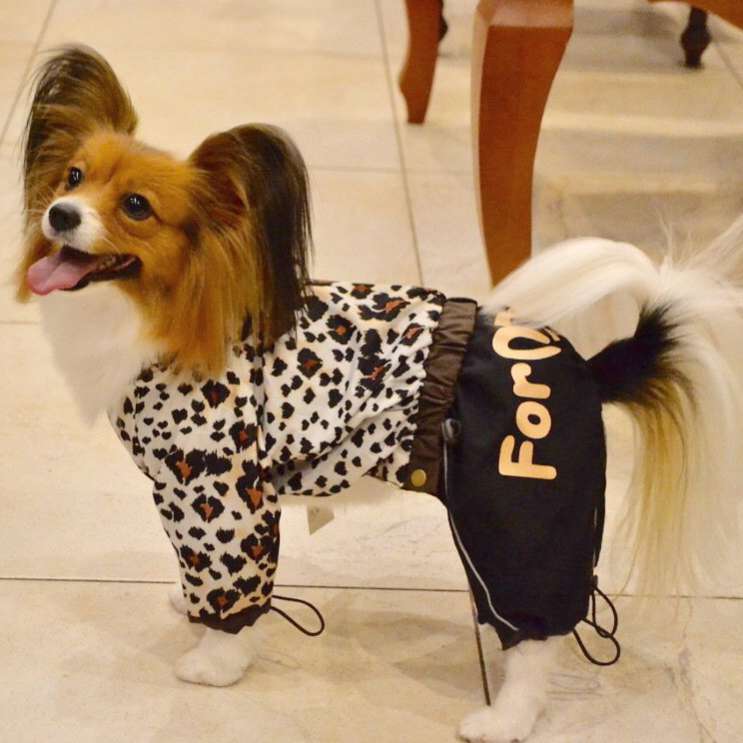 Дождевик для собаки ForMyDogs Лео