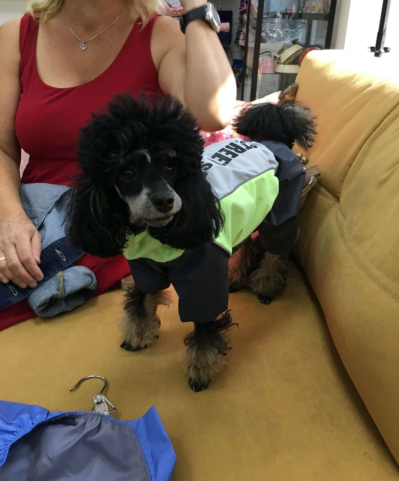 Дождевик для собаки Premium Уличный стиль