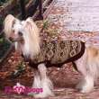 Свитер для собак ForMyDogs Cover Коричневый