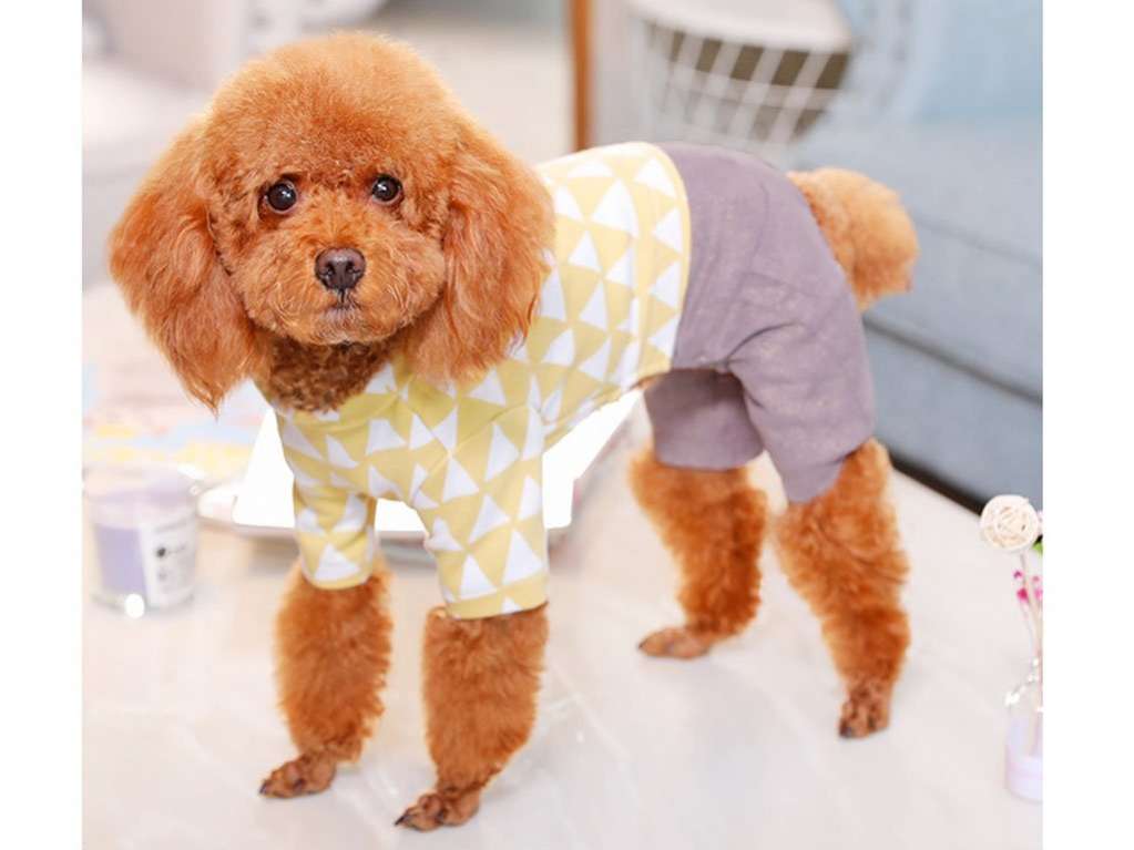 Костюм для собак Pet Пиф