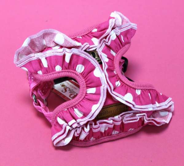 Шлейка для собак Pet Пион (2 цвета)