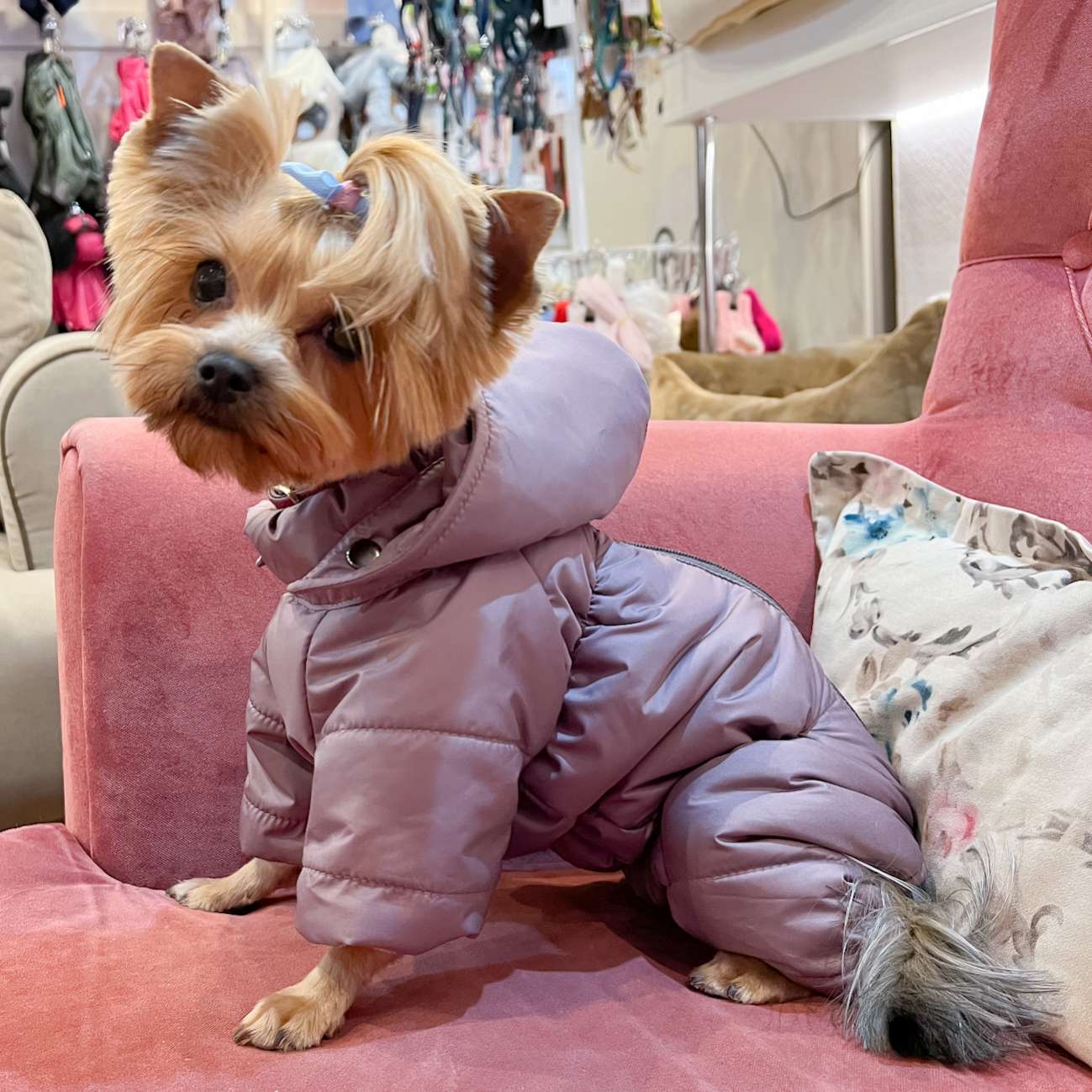 Комбинезон для собак Puffy Сидней